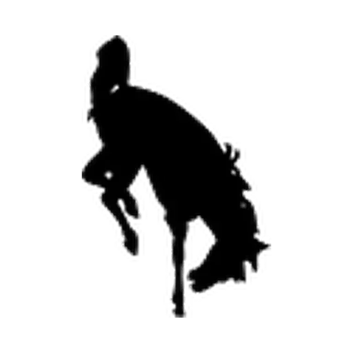 Jackson Hole logo