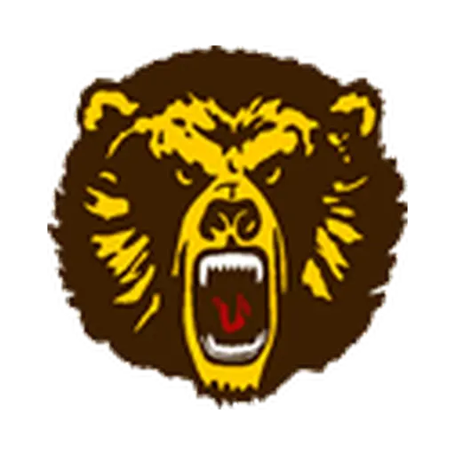 Rocky Mountain logo