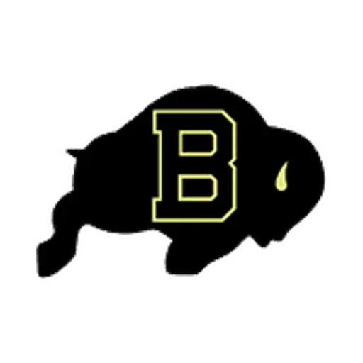 Buffalo logo