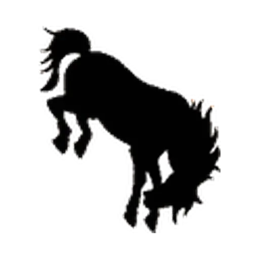 Burns logo